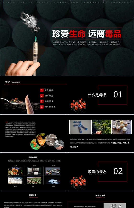 黑色简约大气禁毒教育知识宣传PPT模板