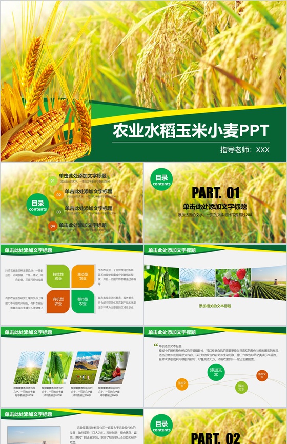 农业水稻玉米小麦农产品推广PPT模板