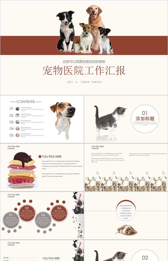 猫狗宠物医院工作汇报PPT模板