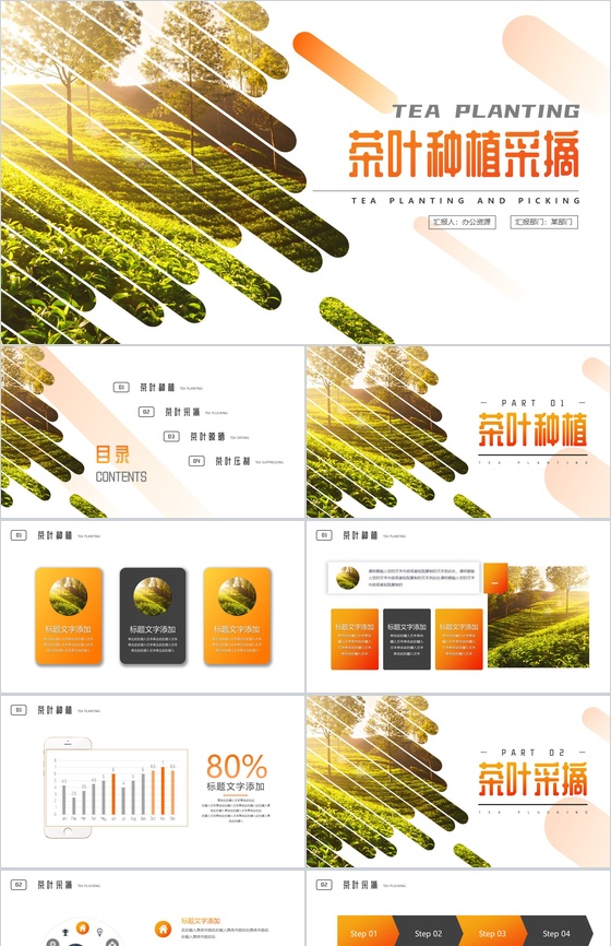 茶叶种植科学采摘流程介绍PPT模板