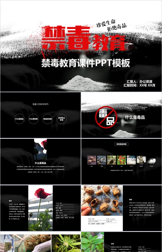 国际禁毒日珍爱生命拒绝毒品禁毒教育PPT模板