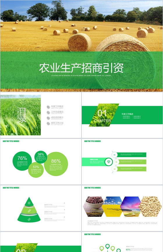 农业生产招商引资农产品宣传PPT模板