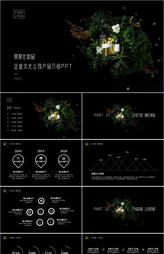 XX企业文化公司产品介绍PPT模板