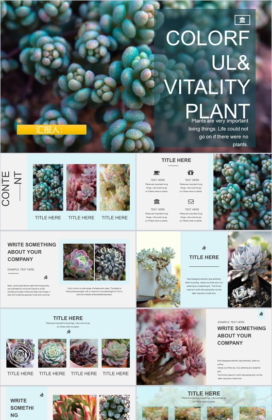 小清新多肉植物工作汇报PPT模板