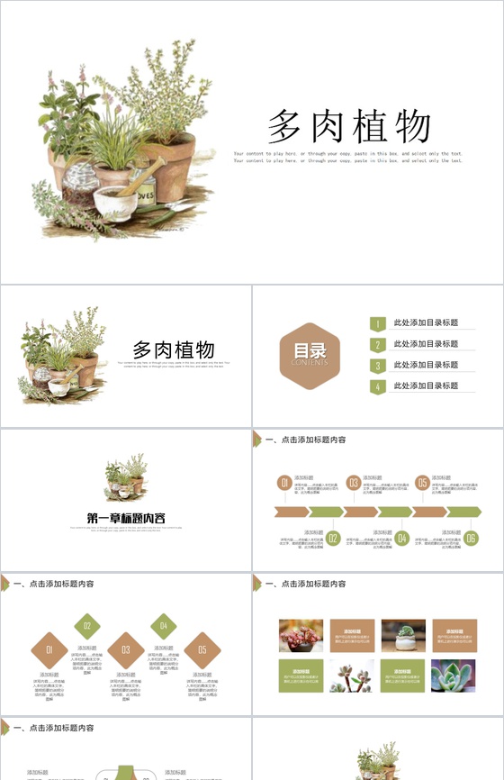 白色简约多肉植物工作汇报PPT模板