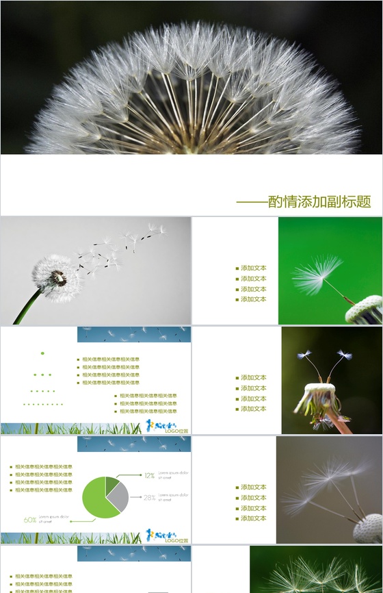 蒲公英商务形象个人展示PPT模板