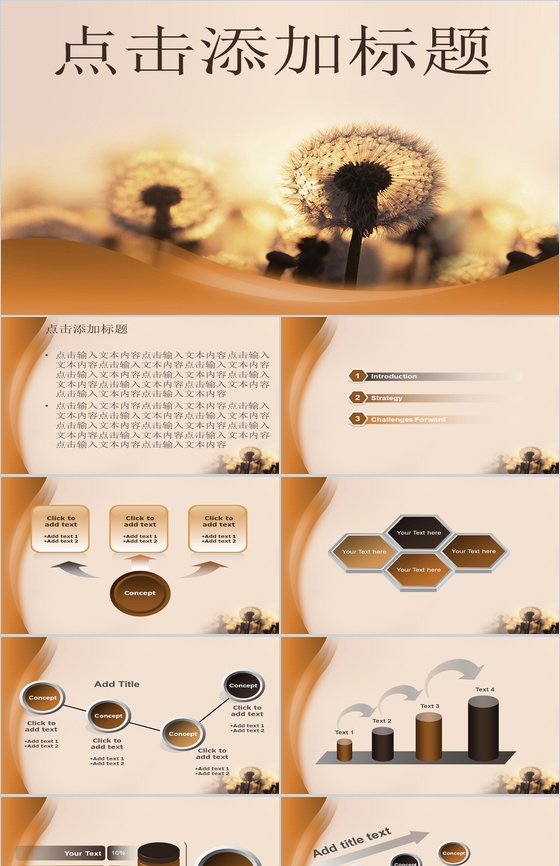古朴风格蒲公英商务PPT模板