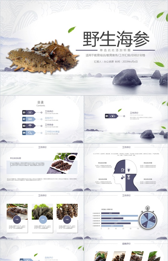 健康野生海参动态产品推广宣传工作汇报PPT模板