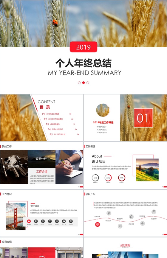 大气商务个人述职转正年终总结汇报动态模板