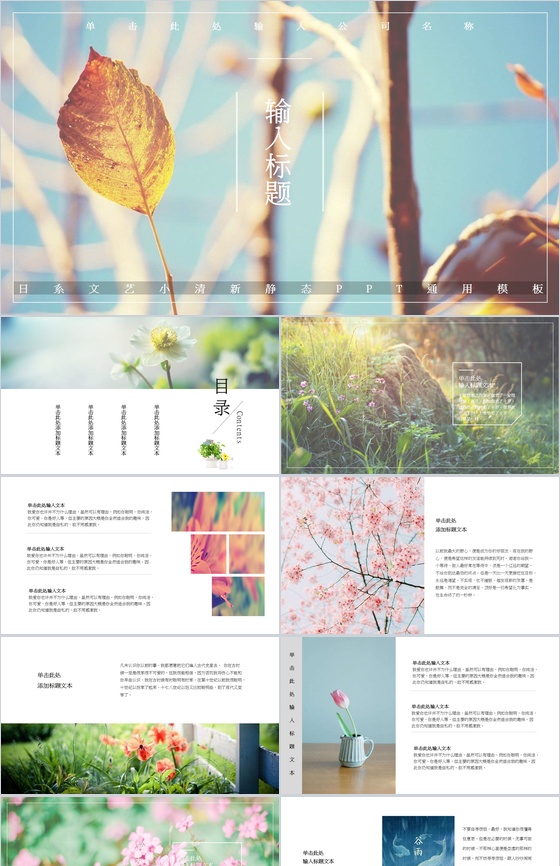 清新淡雅小清新计划总结述职报告工作汇报PPT模板